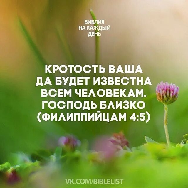 Благословение цитаты из библии. Стихи из библии. библейские стихи на каждый день. цитаты из библии на каждый день. библейские цитаты на каждый день.