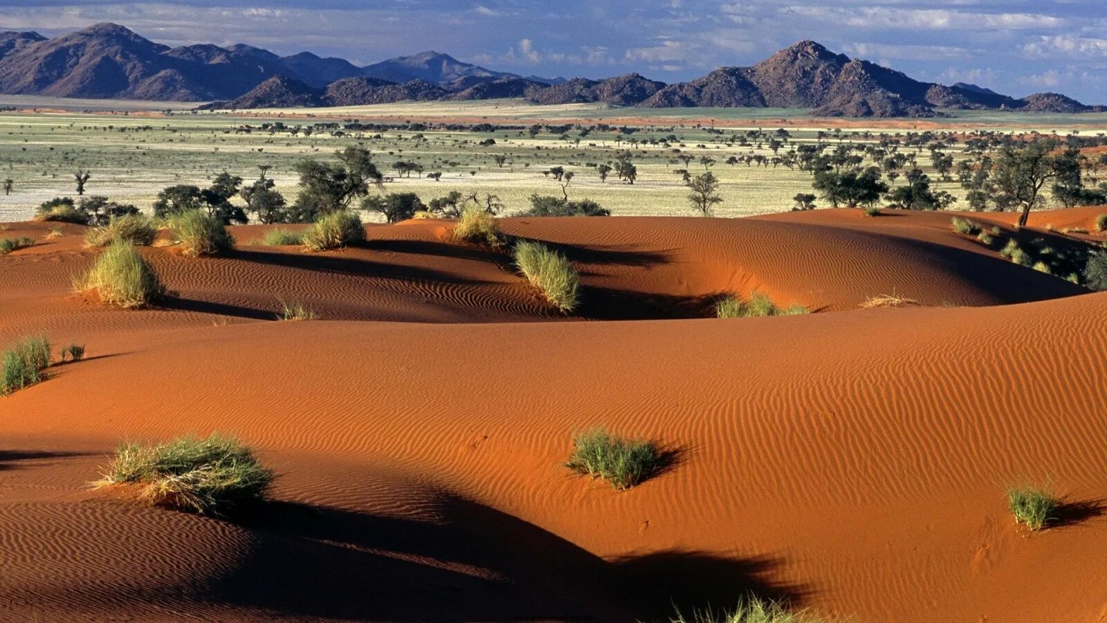 Копытные пустыни намиб. Пустыня намиб пустыня калахари. Пустыня намиб пустыня калахари. Пустыня намиб пустыня калахари. Пустыня намиб юар.