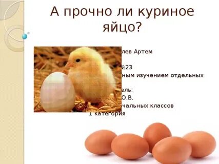 Куриное яйцо относится к живой природе