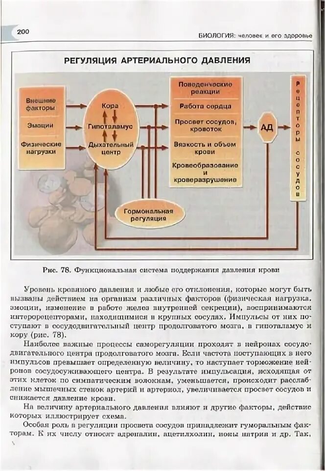 Биология 8 класс рохлов трофимов. Учебник по биологии Рохлов 11 класс.