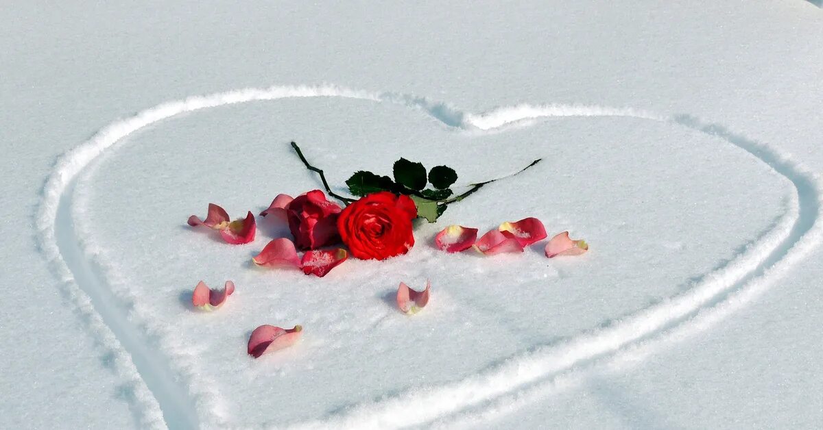 Зима в сердце на душе вьюга текст. Зима все сердце песня. Сердце зимой. Сердечко на снегу. Сердце на снегу.