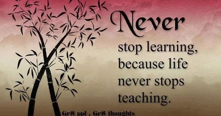 Because i learned. Never stop learning because life never stops teaching. never stop learning because life never stops teaching кто написал. never stop learning because life never stops teaching перевод на русский.