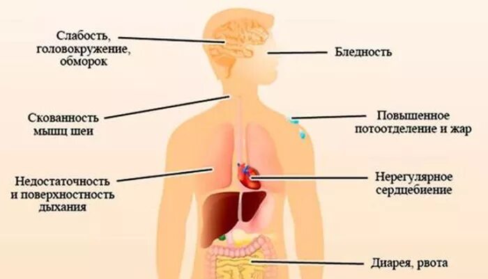 Жар головокружение слабость