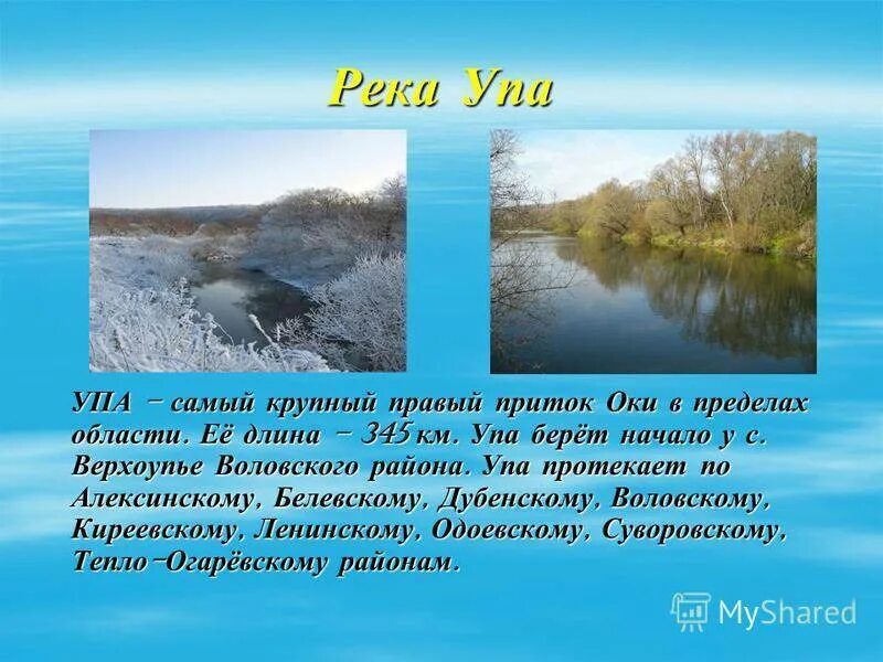 Притоки упы. Река упа в тульской области рассказ. исток реки упа. река упа в тульской области описание. притоки реки упа.