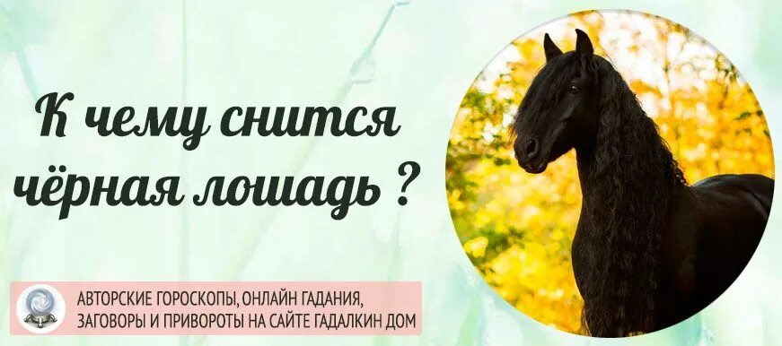 Толкование снов к чему снятся лошади. Лошадь во сне к чему снится. Чёрная лошадь во сне к чему снится женщине. Приснилась темная лошадь. Черная лошадь сонник.