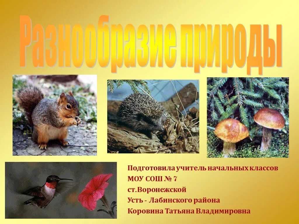 "Разнообразие природы родного края"презентация к уроку окружающего мира