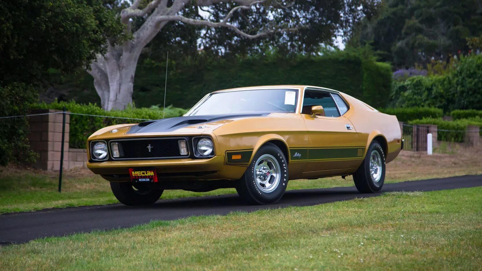 Мустанг объем. Форд Мустанг 1973. Ford Mustang Mach 1 1969. 1966 Ford Mustang Mach 1. Ford Mustang Mach 1 1973.