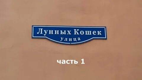 Улица лунных кошек