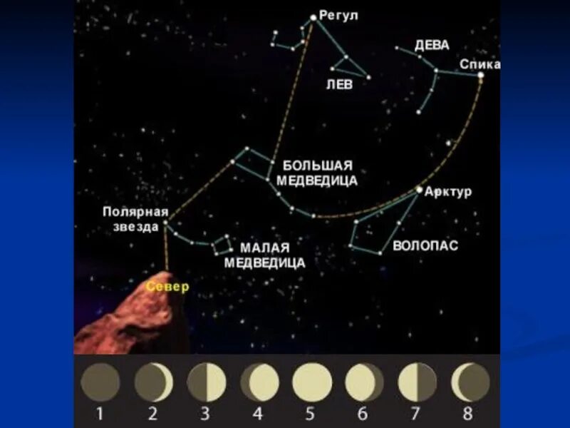 Арктур звезда в созвездии Волопаса. Большая Медведица и Волопас. Арктур звезда на небе. Арктур звезда в созвездии большой медведицы. Какая звезда относится к какому созвездию