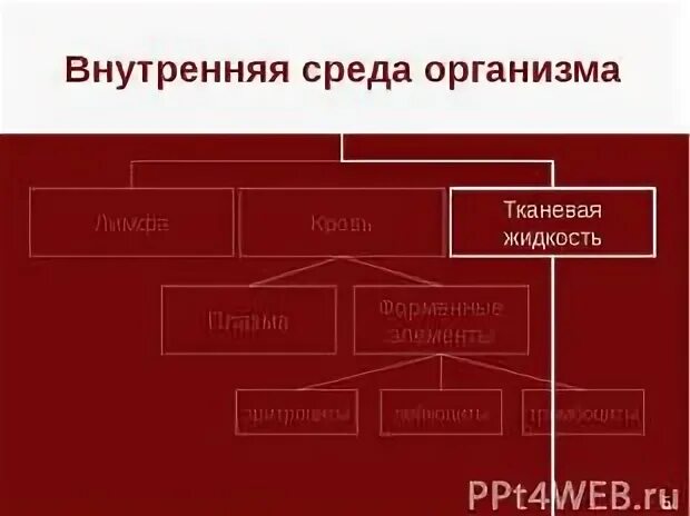 Использование внутри помещения. Декорирование стен деревом. Отделка комнаты ламинатом. Отделка домов внутри. Интерьер в деревянном доме.