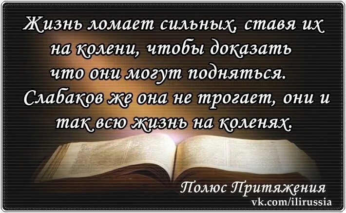 Жизнь ломает сильнейших. Жизнь ломает сильнейших ставя их на колени. Жизнь ставит на колени сильных чтобы. Жизнь ломает только сильных. Живу поставим на всю