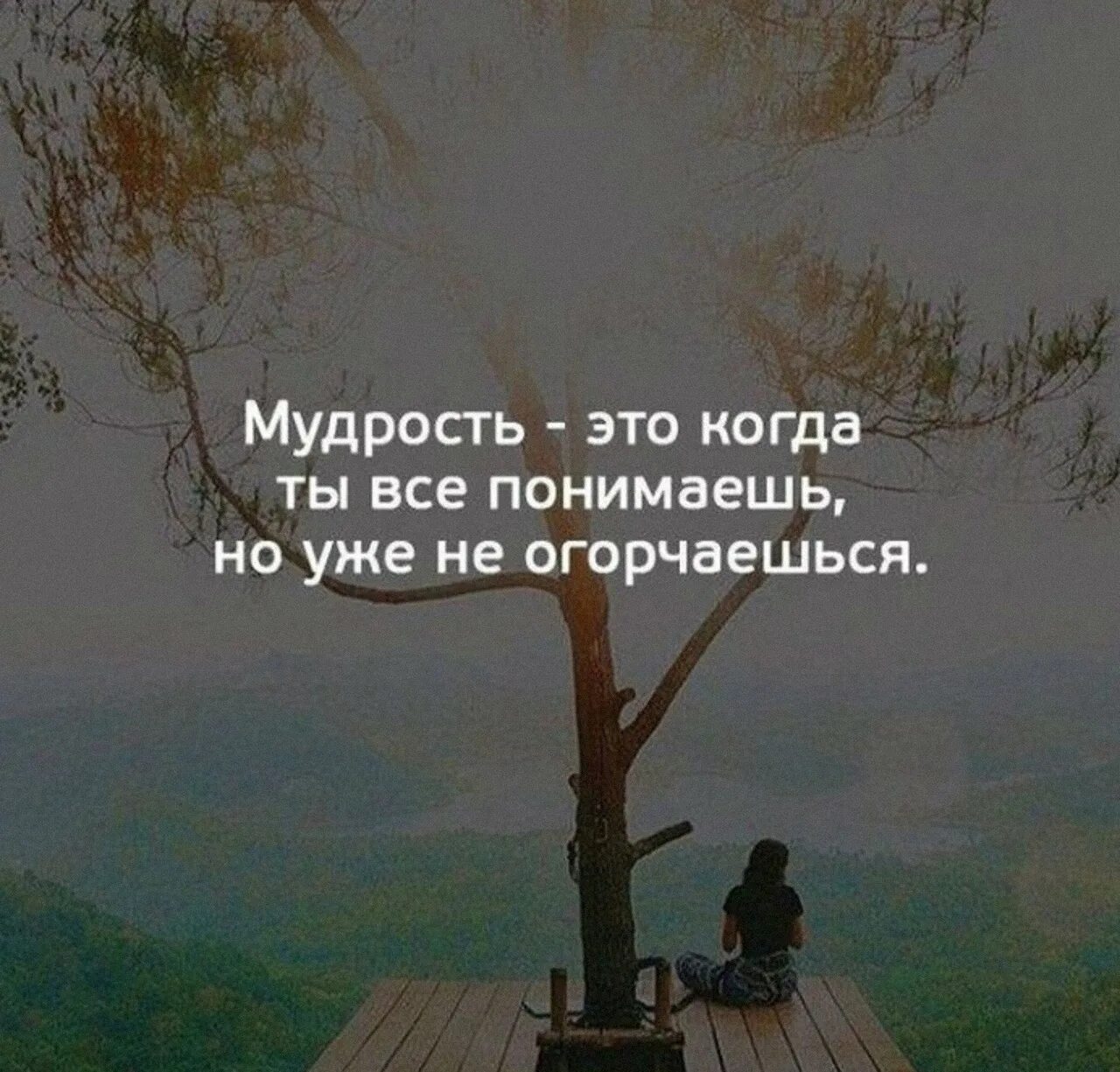 Жизненная мощь мудрость геншин. Мудрые цитаты. Мудрость цитаты. Мудрость жизни. Мудрые афоризмы.