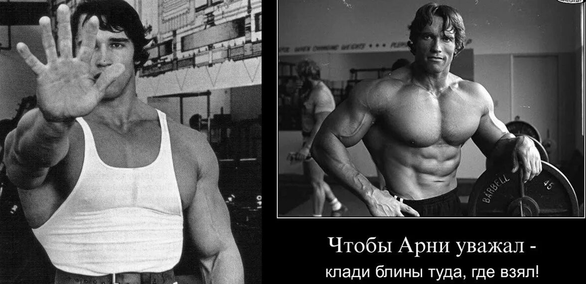 Хочу жениться арни. Приколы про арнольда шварценеггера. первое правило тренажерного зала. чтобы арни уважал клади. арни огорчает.