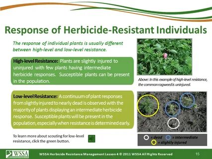 Plant resistance