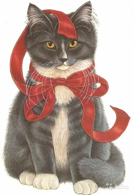 Рожденный год кота. Кошка с бантом. Нарядная кошка. Котенок с бантиком. Кот с бантиком на шее.