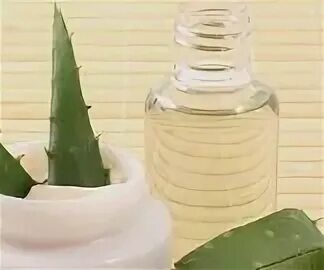 Как сделать лосьон из алоэ. Алоэ с медом. свечи с алоэ и мёдом. лекарство из алоэ, мёда и кагора.