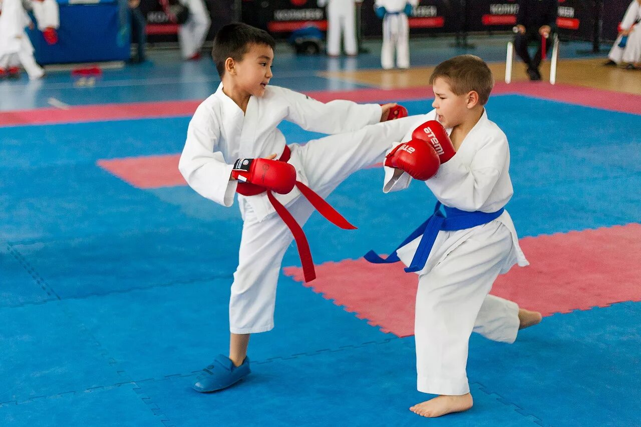 Каратэ WKF дети. Каратэ гора ВКФ Барнаул. Соревнования WKF. Karate WKF дети
