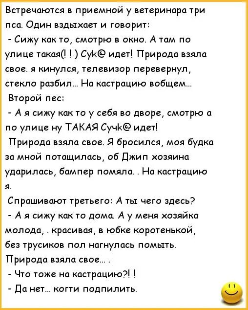 Шутки про ветеринаров. Анекдоты про ветеринаров. Анекдот про врача и ветеринара. Анекдот про ветврача. Ветеринар экзамены