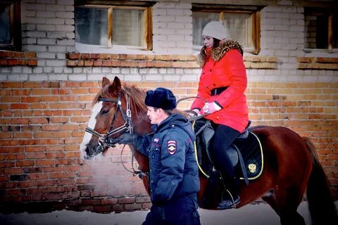 Работа с лошадьми вакансии