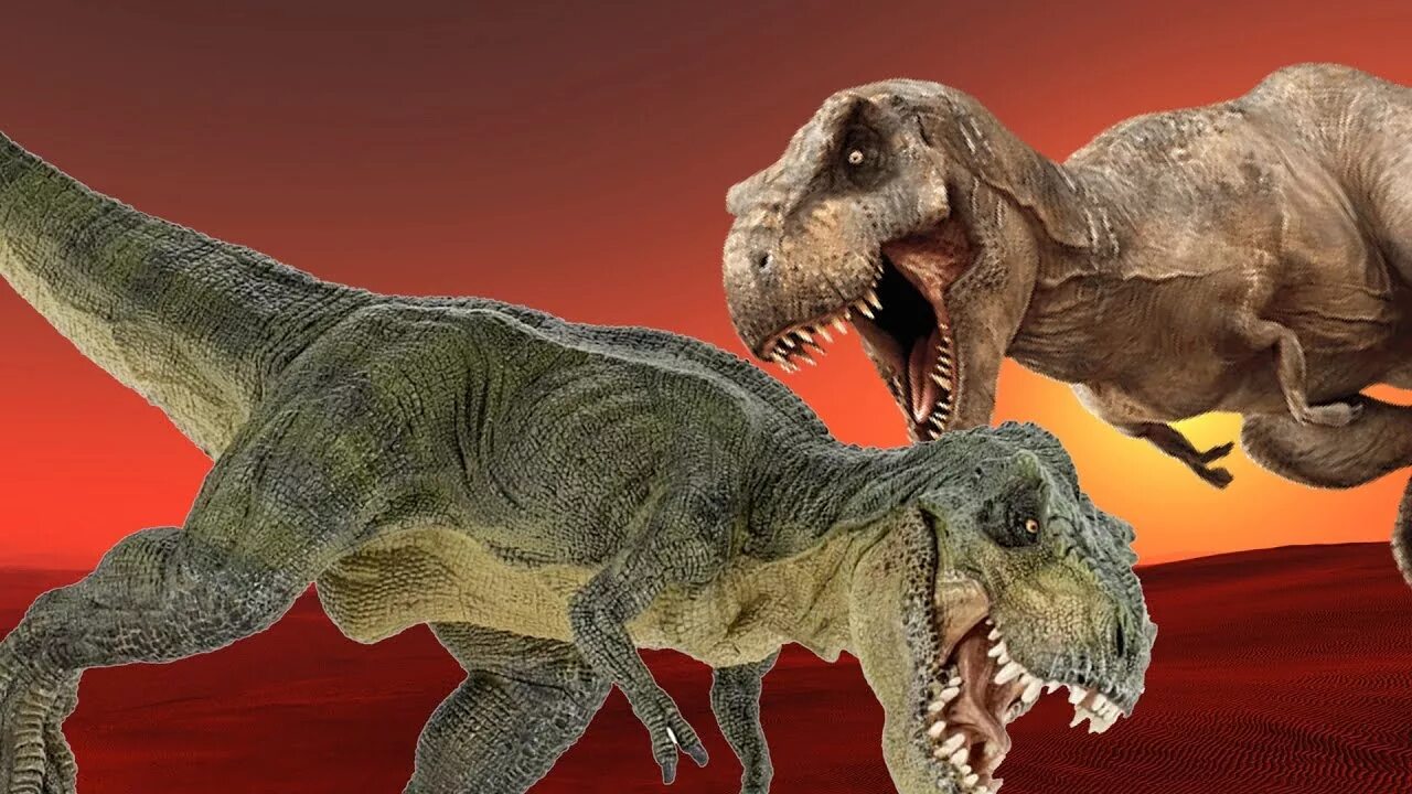 Ти рекс король динозавров. Динозавр Тираннозавр рекс. Тарбозавр рекс. Тираннозавр рекс парк Юрского периода 1. Спинозавр Тиранозавр.