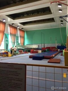 Европейский гимнастический динамо