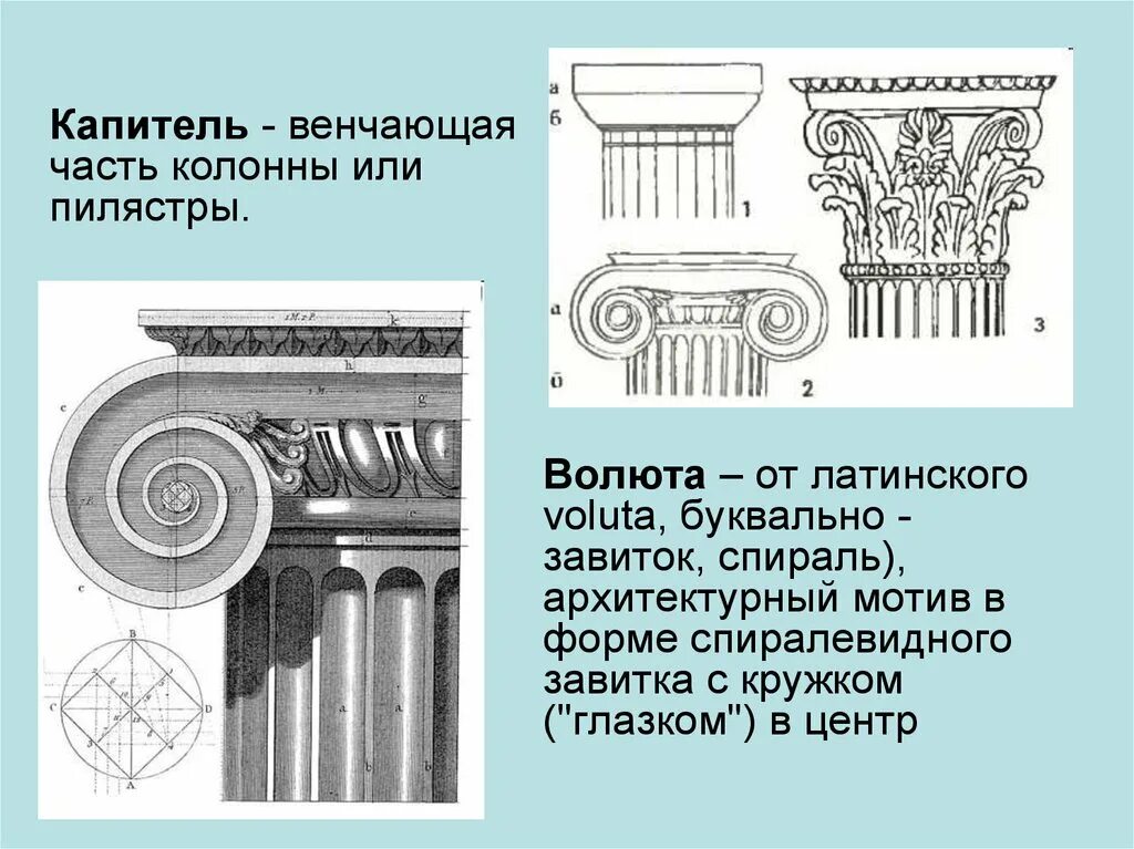 Валюта ордера. Дорический ионический Коринфский ордер в архитектуре. Волюта архитектурный мотив в форме спиралевидного завитка. Валюта ионической капители. Волюта орнамент древней Греции.