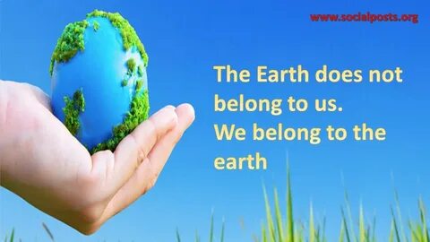 Natural world is