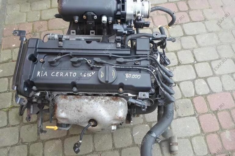 Двигатель Киа Церато 1.6 126 л.с. Двигатель Киа Серато 1.6. Кия Церато 4 1.6 двигатель. Киа Церато 2013 двигатель 1.6.
