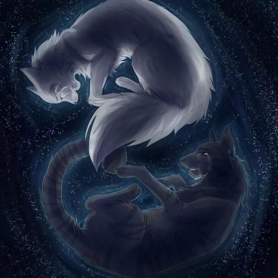 лунные коты воители. половина луны коты воители. коты воители синяя звезда и белогривка. коты воители луна. коты воители половинка луны.