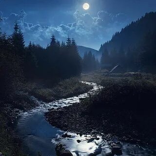 Ночь луна река лес