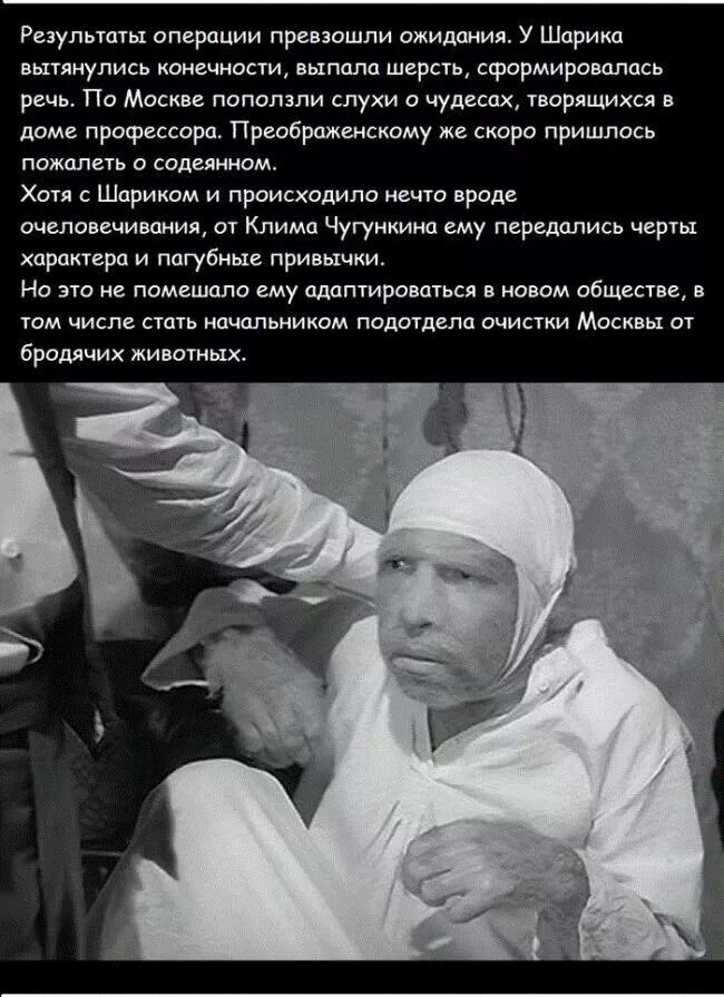 Афоризмы из собачьего сердца. Шариков из собачьего сердца высказывания. шариков цитаты. цитаты из собачьего сердца. собачье сердце цитаты из фильма.