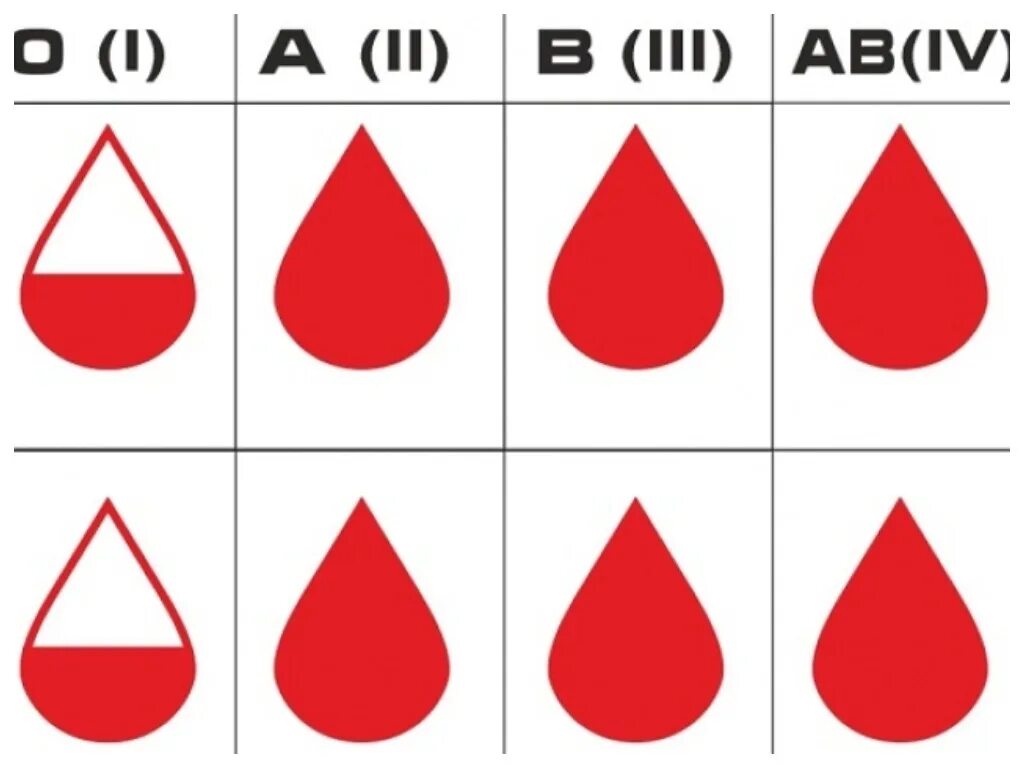 Кровь а ll это какая. Группа крови. Крор группы. Gruppa krova. Гоубы урови.
