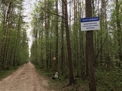 Тропа здоровья череповец зашекснинский