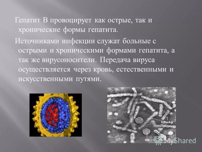 вирусный гепатит а источник