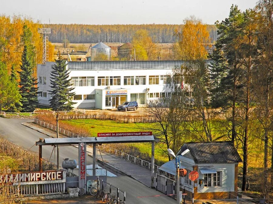 Зао по свиноводству владимирское. Тамбовская область свиноводство. Зао по свиноводству владимирское. Свинокомплекс мортадель владимирская область. Владимирский мясокомбинат докторская колбаса.