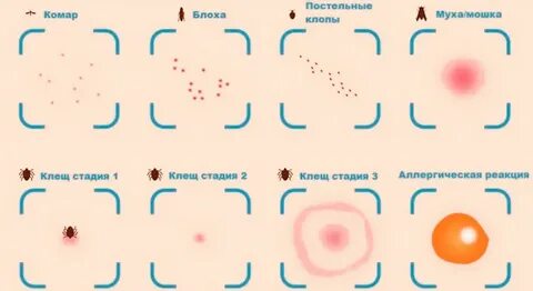 Через сколько становится незаразным