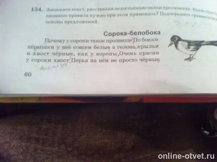 Запиши текст расставляя границы предложений