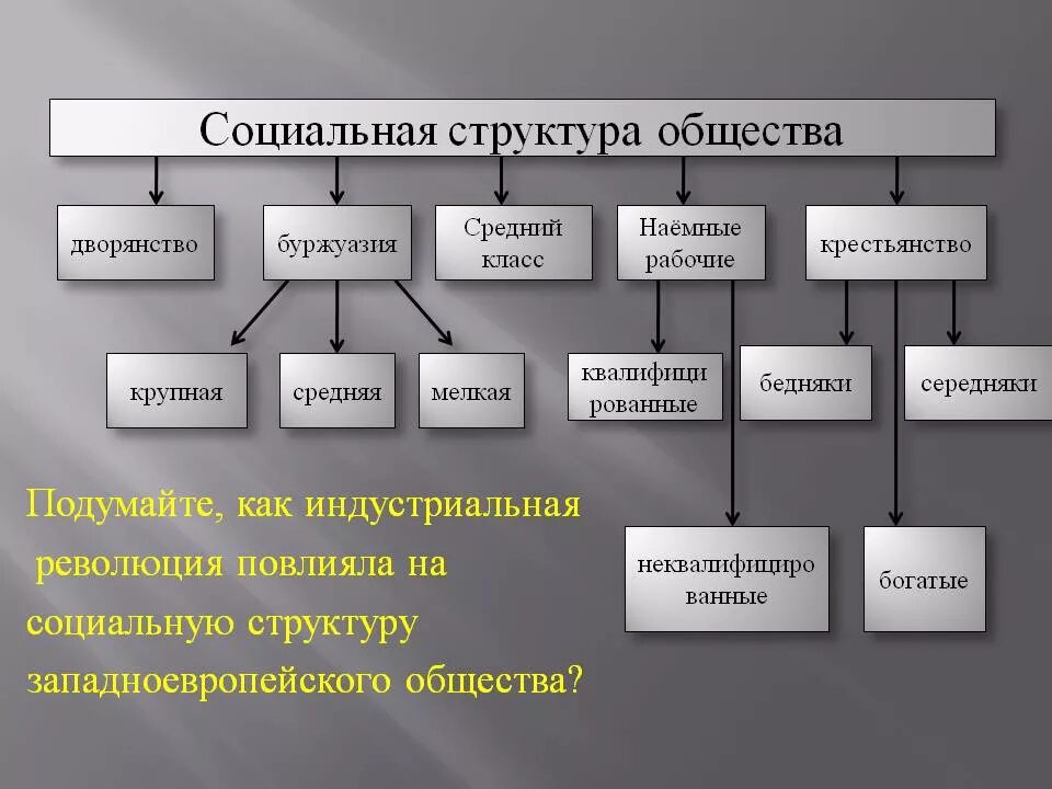 Социальная структура общества. Социальная структура схема. Социальная структура общества Обществознание 8. Социальная структура общества история 8 класс.