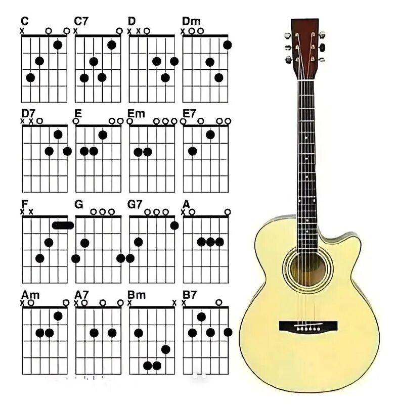 Гитара для начинающих. Гитара Chord. Guitar Chords. Гитара акустическая Chord.