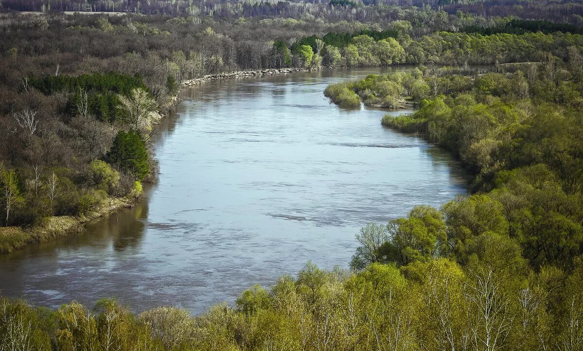 Река сура. Рассказ про реку суру пензенской области. Река пьяна на карте нижегородской. Какое течение суры. Схема реки сура в мордовии.