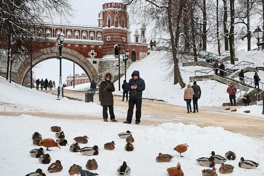 Погода в москве на 14 апреля. Парки Москвы зимой. Москва зимой. Парк в Москве зимой. Центр Москвы зимой.