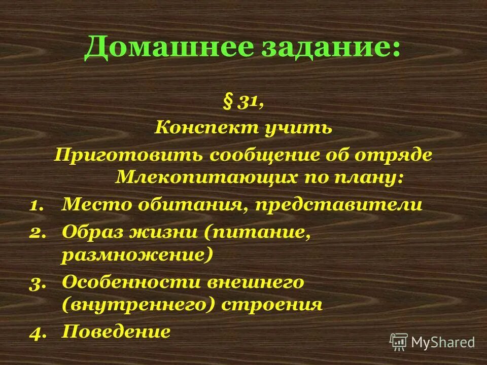 План характеристики класса млекопитающие. Класс млекопитающие общая характеристика. Характеристика млекопитающего по плану.