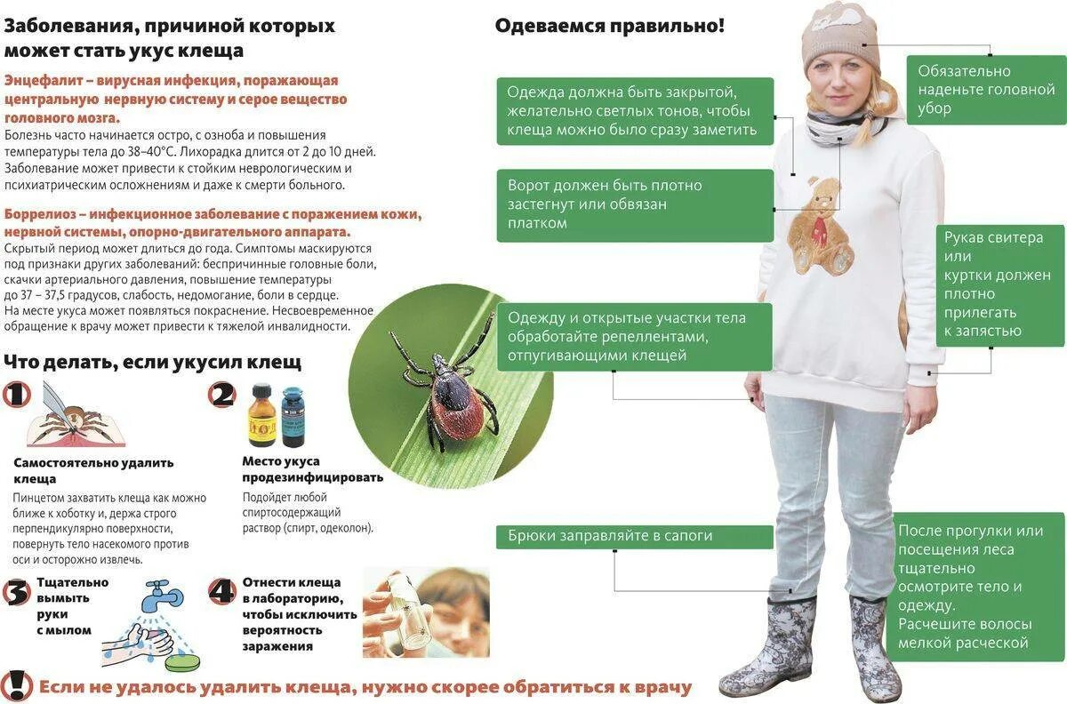 Как защититься от клещей человеку