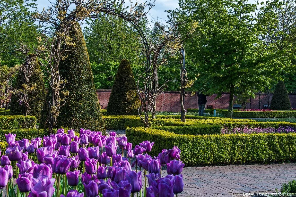 Королевский сад питомник. Королевский парк кёкенхоф, Нидерланды. Парк Кейкенхоф, Лиссе, Нидерланды. Королевский парк тюльпанов Keukenhof. Королевский парк цветов - Keukenhof.