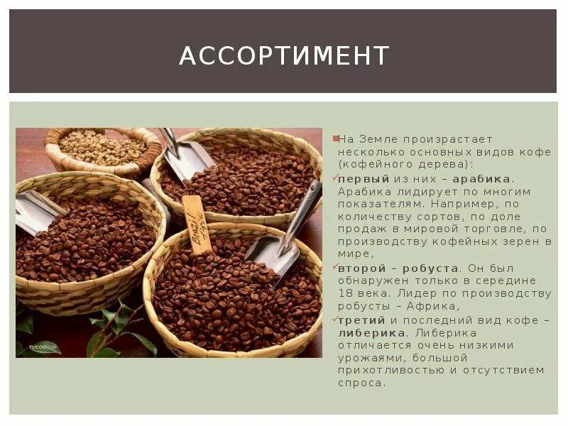 Сколько растворимого кофе в день. Сорта кофе в зернах и их характеристики. Сорта кофе Арабика. Основные виды кофейных деревьев. Кофе история, виды.