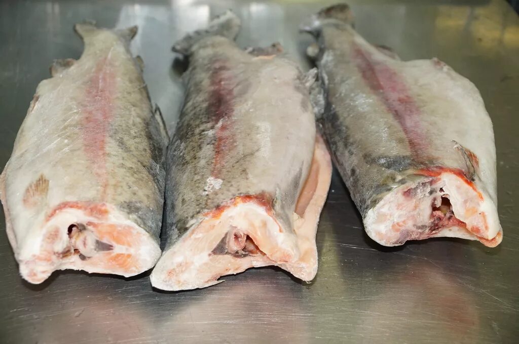 рыба на прилавке. свежемороженая как правильно. морская рыба пикша. сельдь олюторская свежемороженая. треска филе.