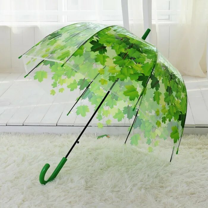 Подарить зонтик. Зонт прозрачный. Зонт прозрачный с листьями. Зеленый зонт. Зонт прозрачный зеленый.