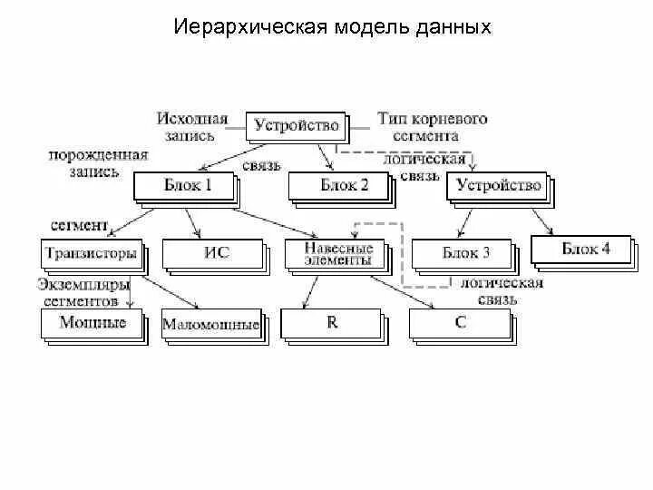 Модель иерархической системы. Иерархическая модель баз данных. Иерархическая модель базы данных пример. База данных примеры иерархии. Пример иерархической модели представления данных.