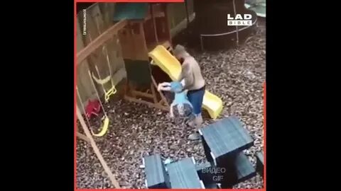 Пикабой видео
