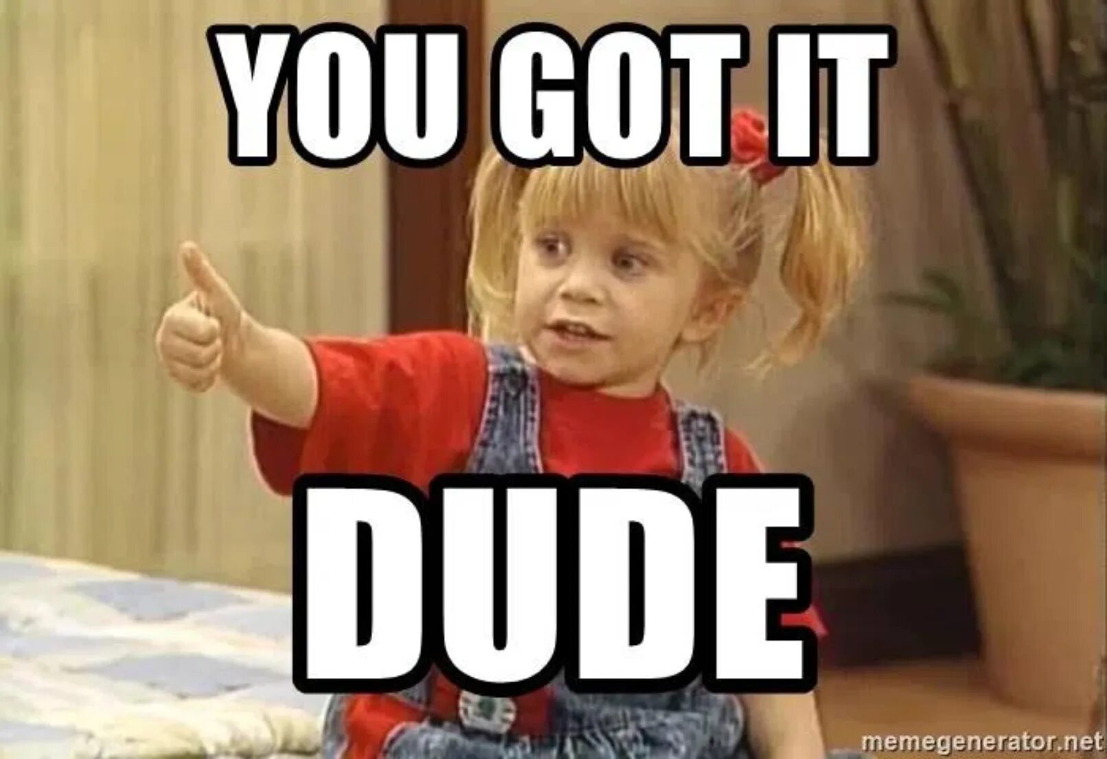 Do you think you got it. Got it Мем. You got it dude. Dude Мем. Got you Мем.